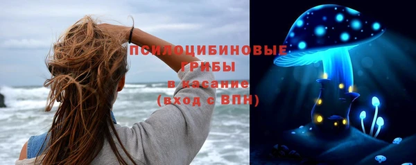 соль курить ск Дмитровск