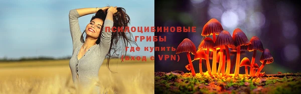 дурь Дмитриев