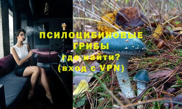 соль курить ск Дмитровск
