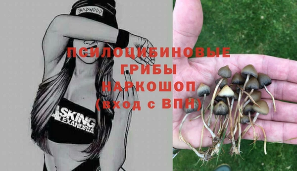 каннабис Дмитров