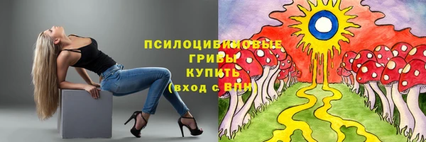 каннабис Дмитров