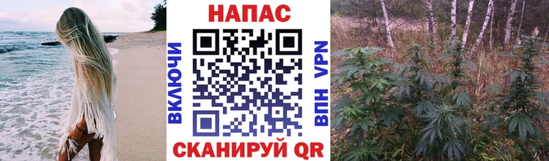Купить закладки  Искитим  Марихуана план 